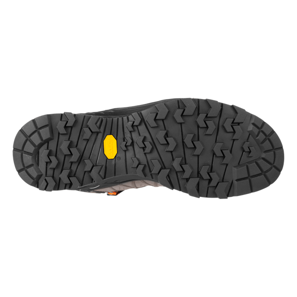 ALP TRAINER 2 MID GTX