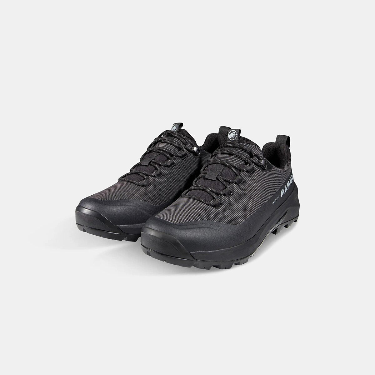 DUNCAN III LOW GTX MEN