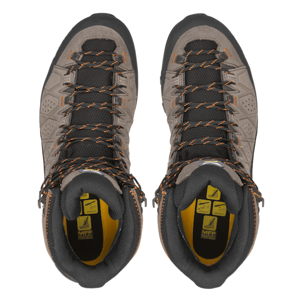 ALP TRAINER 2 MID GTX