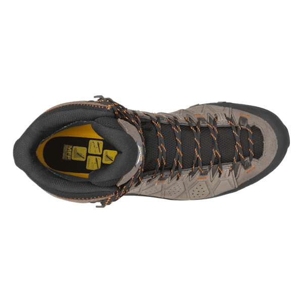 ALP TRAINER 2 MID GTX